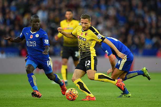 我们看到 我们看到